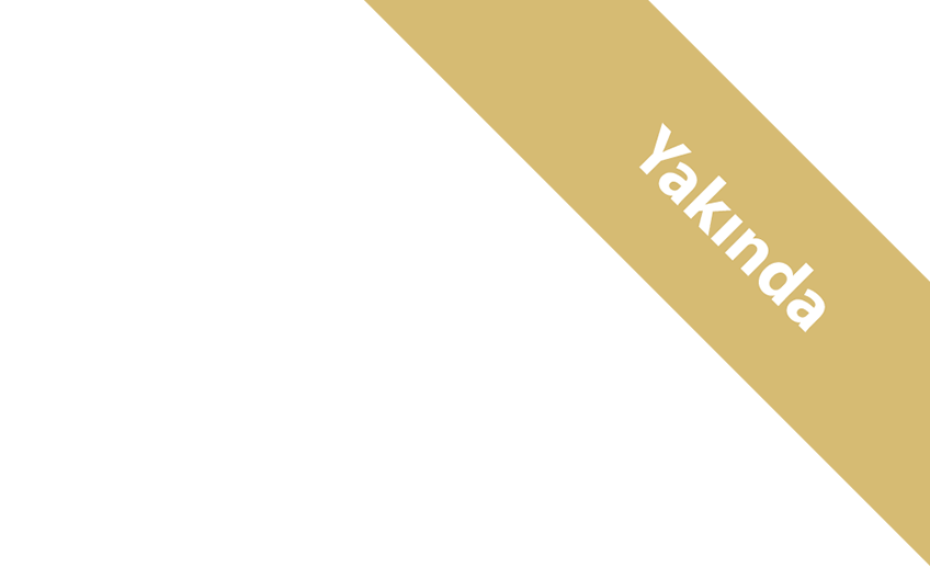 Yeni Makale